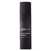 TAHAN & GLOSS SPRAY LABEL.M Produk khusus untuk rambut